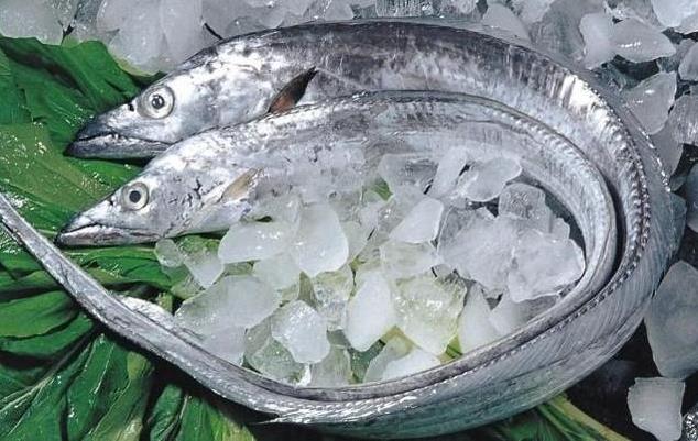 為什么帶魚(yú)不能人工養(yǎng)殖？帶魚(yú)是深海魚(yú)嗎？有什么營(yíng)養(yǎng)價(jià)值