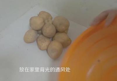 土豆發(fā)芽了還能吃嗎？剛發(fā)芽的土豆可以吃嗎