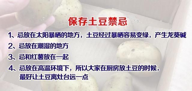 土豆發(fā)芽了還能吃嗎？剛發(fā)芽的土豆可以吃嗎