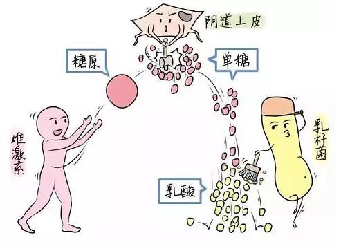 芙美安婦科凝膠丨婦科炎癥反復(fù)發(fā)作？自從用了它，告別私密困擾！