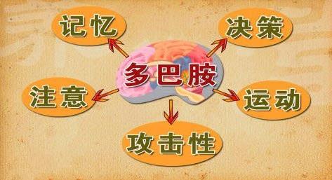 為什么明明不餓,卻總想吃點(diǎn)東西?這究竟是什么毛病?