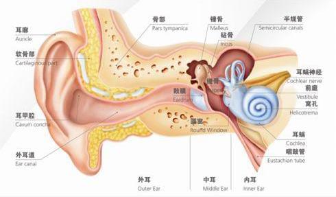 刺啦！聽(tīng)到了粉筆劃過(guò)黑板的聲音 為什么會(huì)讓你抓狂？