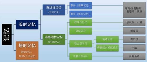 為什么你不記得嬰幼兒時(shí)期發(fā)生的事情？記憶會(huì)一直保留到離開人世嗎