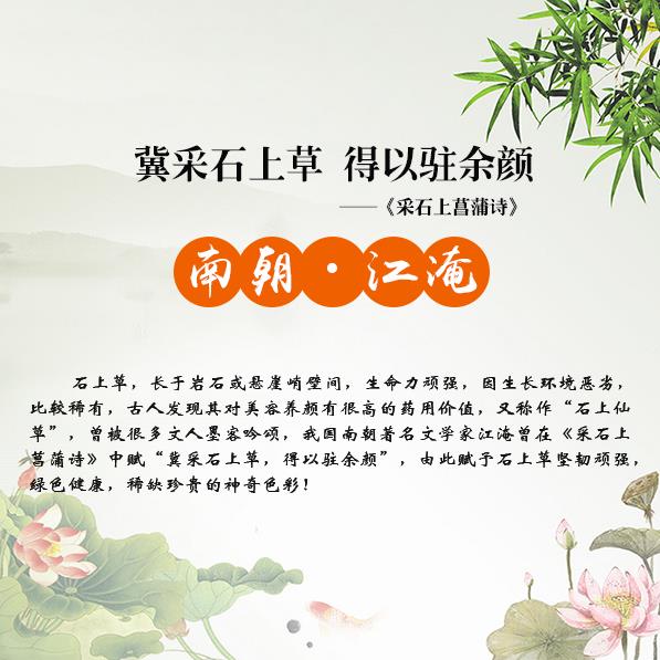 夏天掉頭發(fā)是什么原因 怎么防掉頭發(fā)？