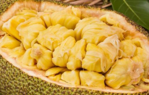 菠蘿蜜切開(kāi)兩半了沒(méi)熟怎么辦 菠蘿蜜沒(méi)熟吃了會(huì)中毒嗎